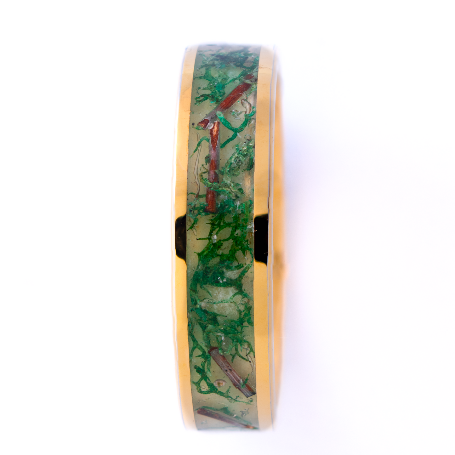 Gold plated tungsten ring with green glow in the dark powder, dried moss, and twigs inside on a white background